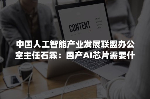 中国人工智能产业发展联盟办公室主任石霖：国产AI芯片需要什么评估规范？