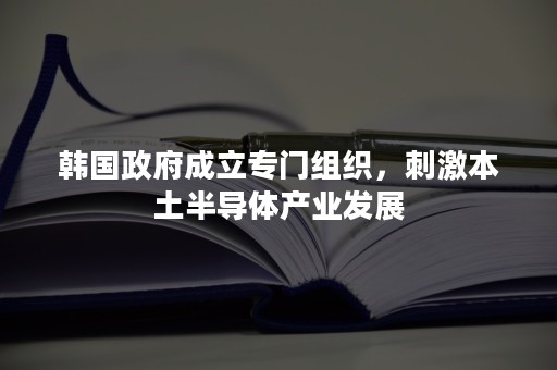 韩国政府成立专门组织，刺激本土半导体产业发展