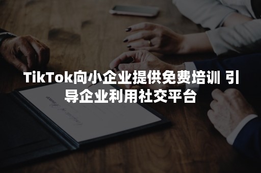 TikTok向小企业提供免费培训 引导企业利用社交平台