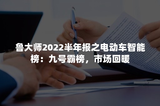 鲁大师2022半年报之电动车智能榜：九号霸榜，市场回暖