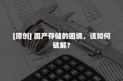 [原创] 国产存储的困境，该如何破解？