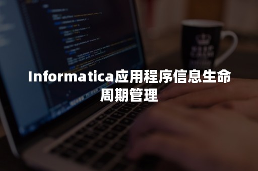 Informatica应用程序信息生命周期管理