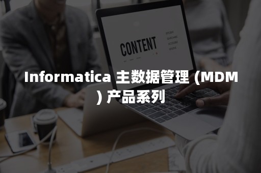 Informatica 主数据管理 (MDM) 产品系列