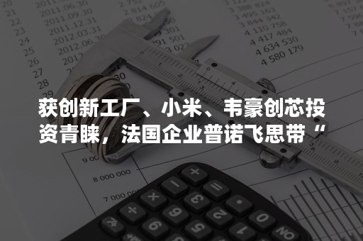 获创新工厂、小米、韦豪创芯投资青睐，法国企业普诺飞思带“机器视觉眼”进驻中国