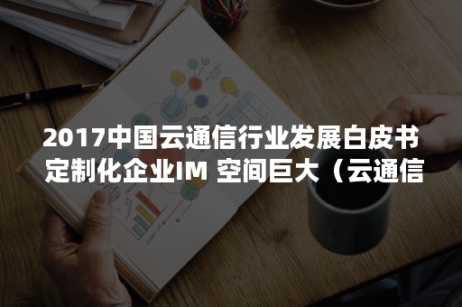 2017中国云通信行业发展白皮书 定制化企业IM 空间巨大（云通信企业）