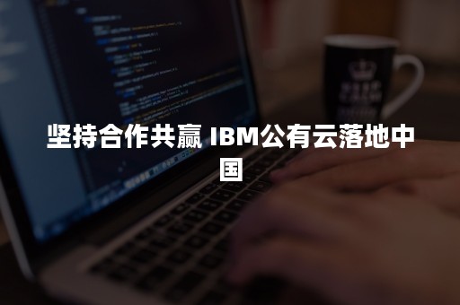 坚持合作共赢 IBM公有云落地中国