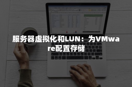 服务器虚拟化和LUN：为VMware配置存储