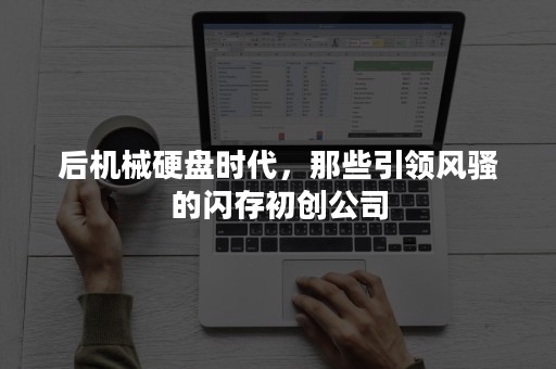 后机械硬盘时代，那些引领风骚的闪存初创公司