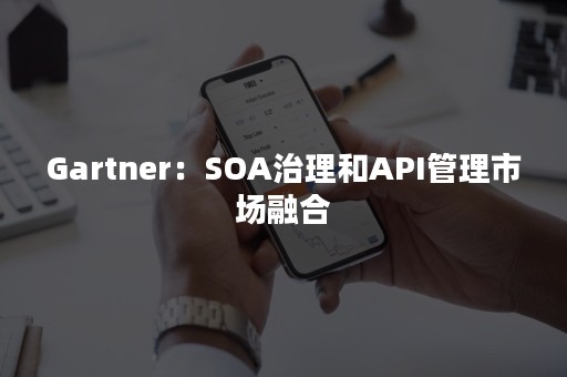 Gartner：SOA治理和API管理市场融合