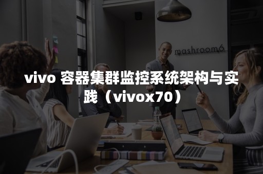 vivo 容器集群监控系统架构与实践（vivox70）