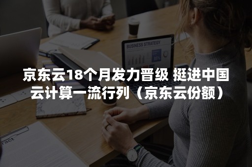 京东云18个月发力晋级 挺进中国云计算一流行列（京东云份额）