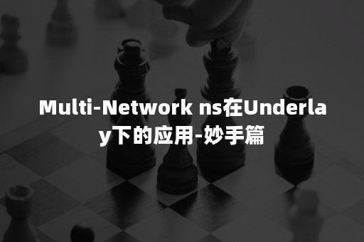 Multi-Network ns在Underlay下的应用-妙手篇