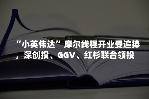 “小英伟达”摩尔线程开业受追捧，深创投、GGV、红杉联合领投