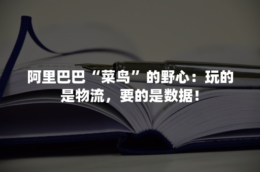 阿里巴巴“菜鸟”的野心：玩的是物流，要的是数据！