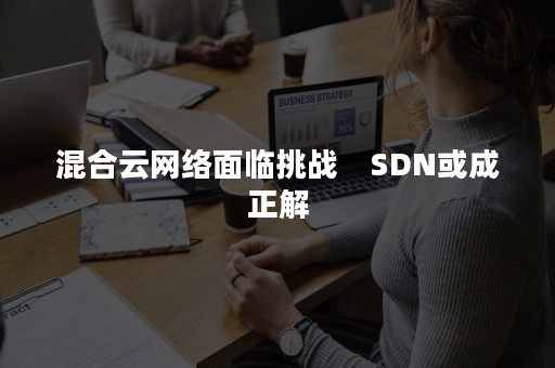 混合云网络面临挑战　SDN或成正解