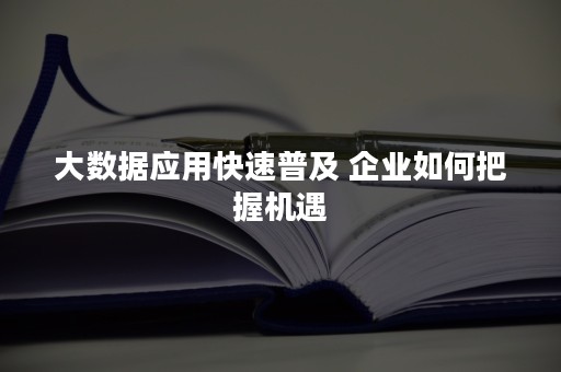 大数据应用快速普及 企业如何把握机遇