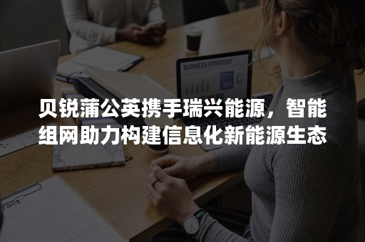 贝锐蒲公英携手瑞兴能源，智能组网助力构建信息化新能源生态圈