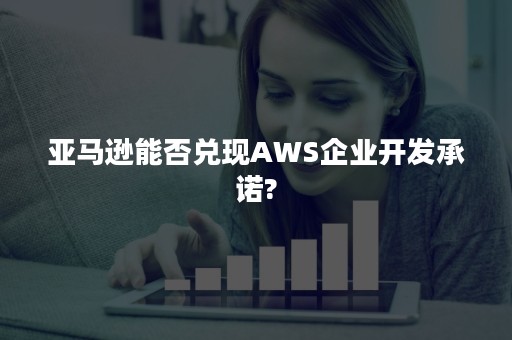 亚马逊能否兑现AWS企业开发承诺?