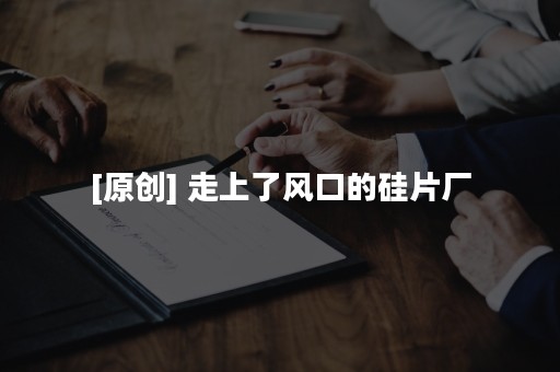 [原创] 走上了风口的硅片厂