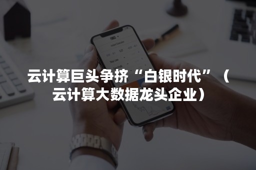 云计算巨头争挤“白银时代”（云计算大数据龙头企业）