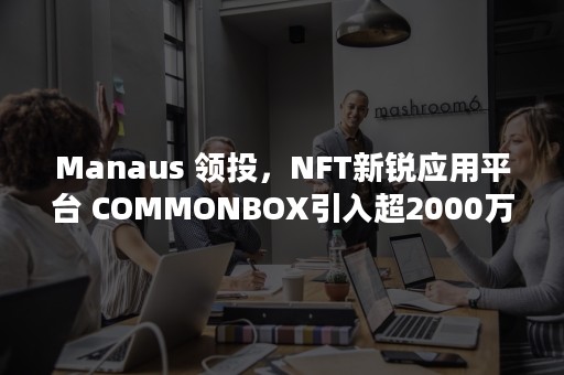 Manaus 领投，NFT新锐应用平台 COMMONBOX引入超2000万美元融资