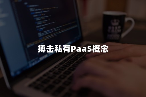 搏击私有PaaS概念