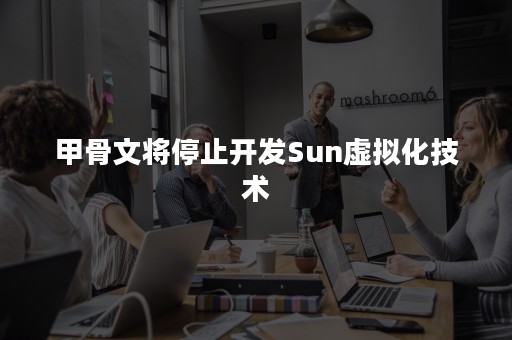 甲骨文将停止开发Sun虚拟化技术