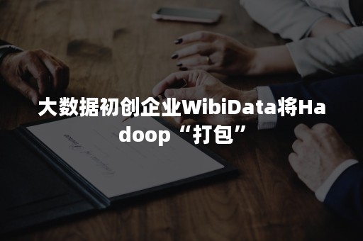 大数据初创企业WibiData将Hadoop“打包”