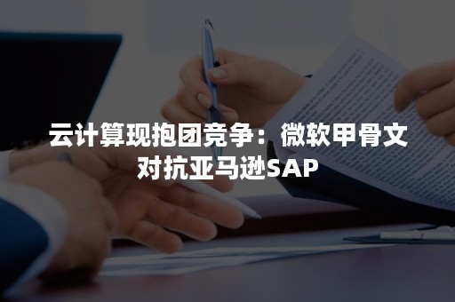 云计算现抱团竞争：微软甲骨文对抗亚马逊SAP