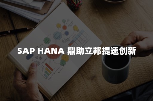 SAP HANA 鼎助立邦提速创新