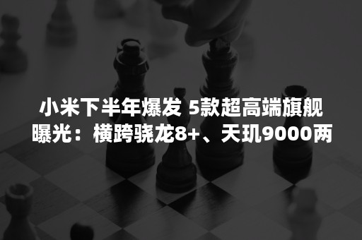 小米下半年爆发 5款超高端旗舰曝光：横跨骁龙8+、天玑9000两大平台