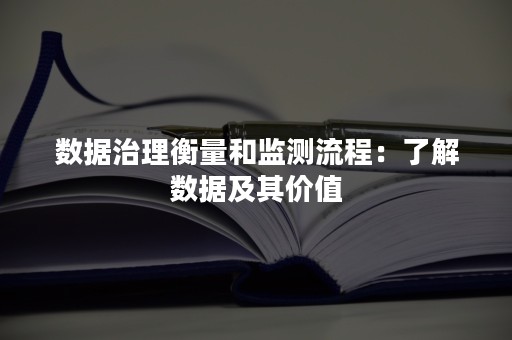 数据治理衡量和监测流程：了解数据及其价值