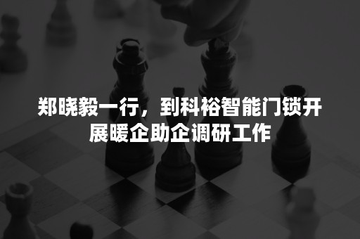 郑晓毅一行，到科裕智能门锁开展暖企助企调研工作