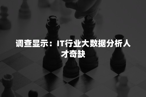 调查显示：IT行业大数据分析人才奇缺