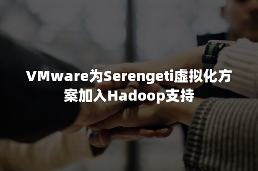 VMware为Serengeti虚拟化方案加入Hadoop支持