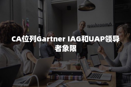 CA位列Gartner IAG和UAP领导者象限