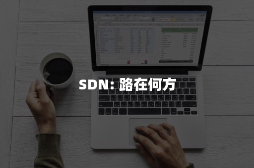 SDN: 路在何方