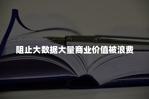 阻止大数据大量商业价值被浪费