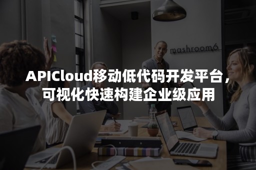 APICloud移动低代码开发平台，可视化快速构建企业级应用