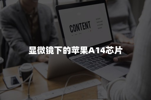 显微镜下的苹果A14芯片