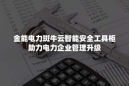 金能电力斑牛云智能安全工具柜助力电力企业管理升级