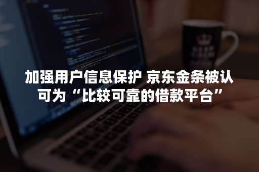 加强用户信息保护 京东金条被认可为“比较可靠的借款平台”