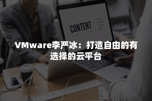 VMware李严冰：打造自由的有选择的云平台