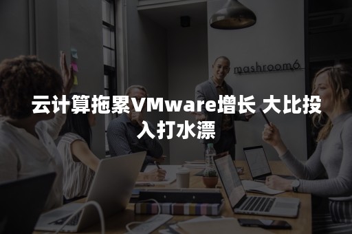 云计算拖累VMware增长 大比投入打水漂