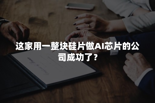 这家用一整块硅片做AI芯片的公司成功了？