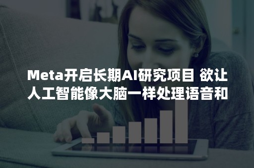 Meta开启长期AI研究项目 欲让人工智能像大脑一样处理语音和文本