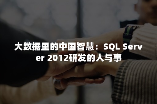 大数据里的中国智慧：SQL Server 2012研发的人与事