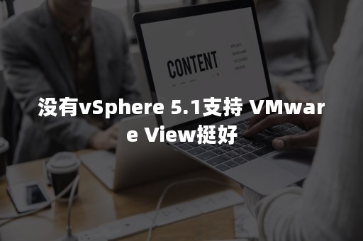 没有vSphere 5.1支持 VMware View挺好