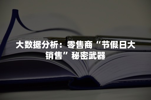 大数据分析：零售商“节假日大销售”秘密武器