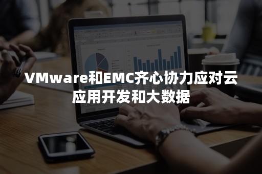 VMware和EMC齐心协力应对云应用开发和大数据